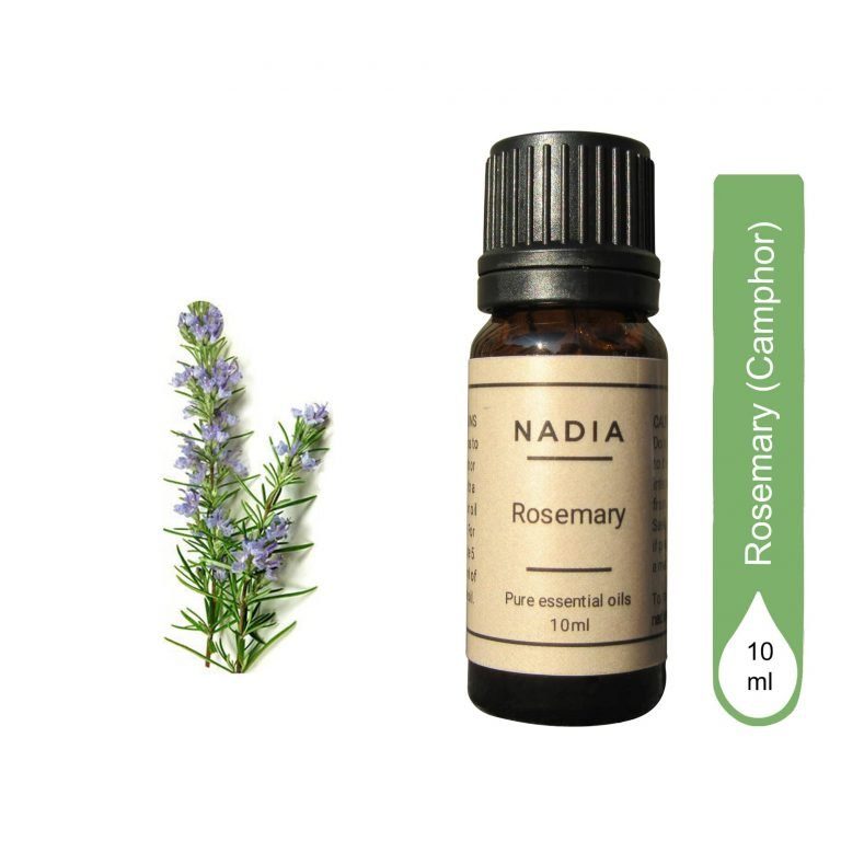 ROSEMARY (CAMPHOR), ESSENTIAL OIL 10ML - By Nadia Nadia Perfume