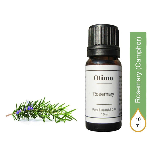 Rosemary (Camphor), Essential Oil 10ML Otimo Beauty